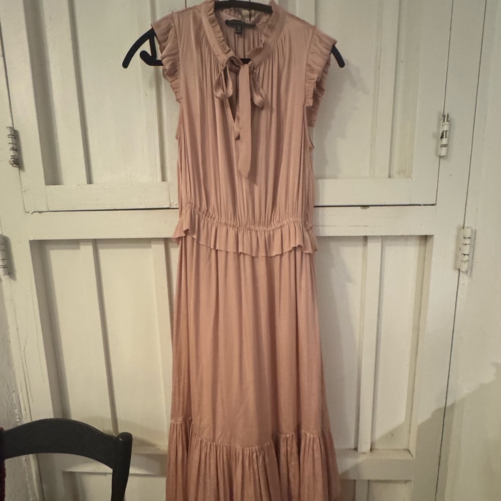 Banana Republic Ruffled Sleeveless Maxi Dress in Blush
